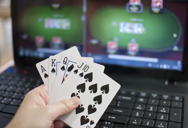 dk445